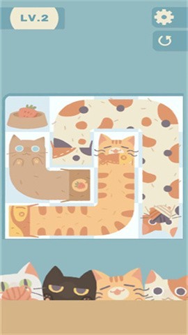 管道猫咪
