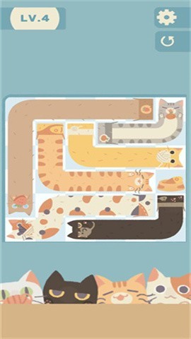 管道猫咪