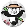 愤怒的熊猫人手机小游戏安卓版