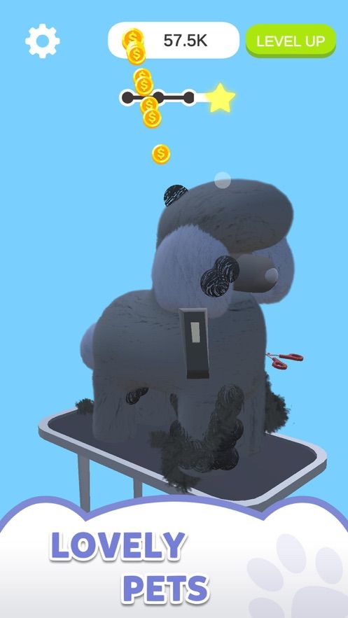狗子美容我最6