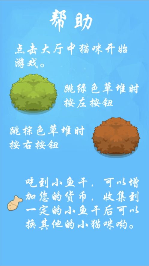 养只小猫咪