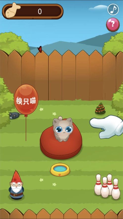 养只小猫咪