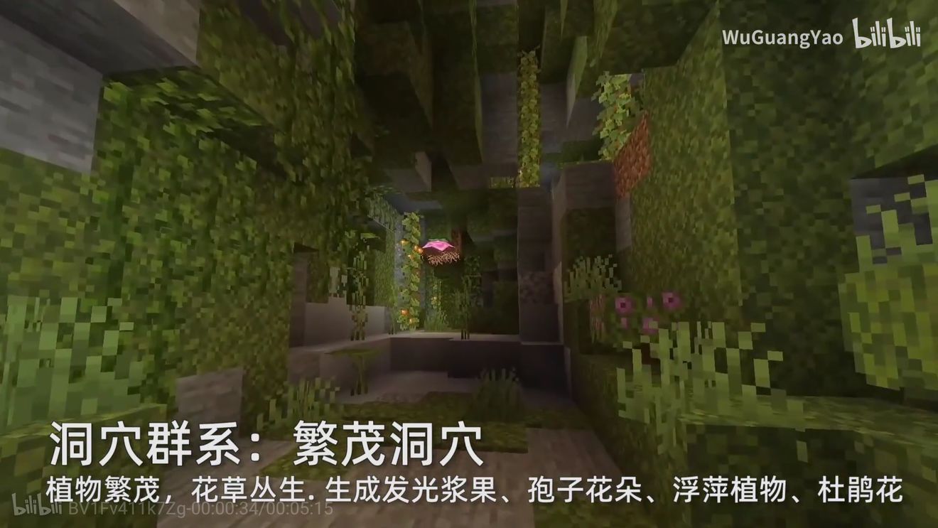 我的世界1.1.0.0国际版中文正式版下载