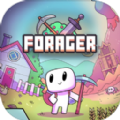 Forager觅食者游戏最新正版下载地址