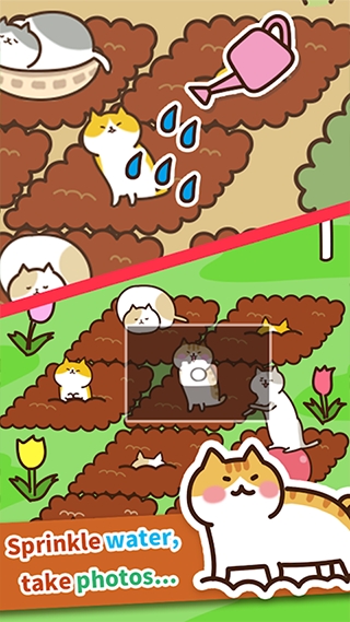 猫咪田园游戏