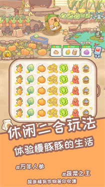 慢豚豚的生活