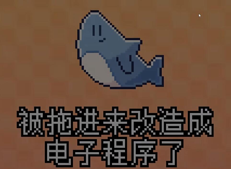 我的小鲨鱼warma