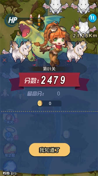 急速的飞行