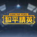 和平精英posion毒药助手卡密免费最新版