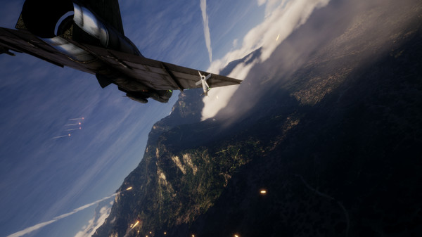 僚机计划steam游戏中文版（Project Wingman）