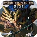 怪物猎人rise捏脸数据完整版