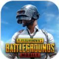 pubg mobile(国际服)2022最新版手机版