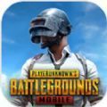 绝地求生刺激战场(国际服)正版手游免费下载