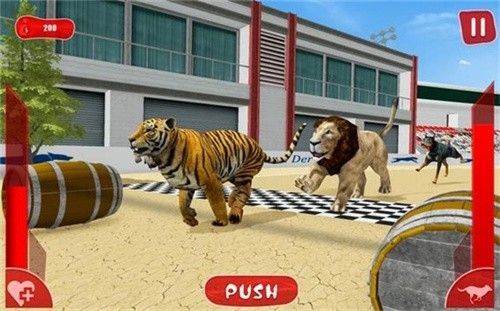 狮子赛跑3D游戏版