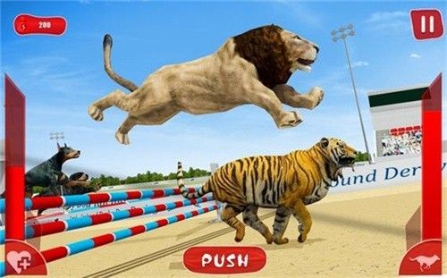 狮子赛跑3D游戏版