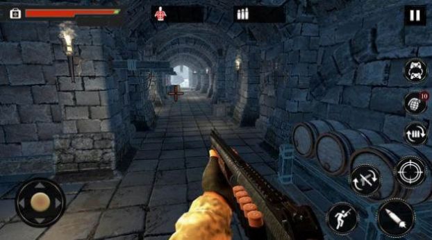 反暴击CS游戏版(Counter Critical Strike CS)