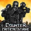 反暴击CS游戏版（Counter Critical Strike CS）