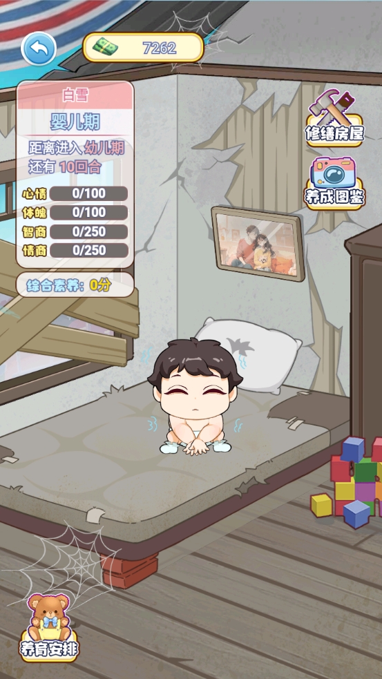 我的养家日记