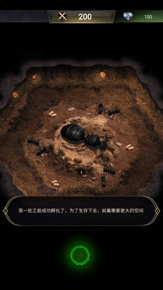 蚂蚁地下王国