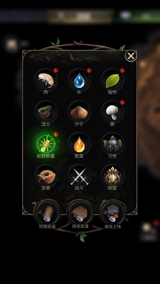 蚂蚁地下王国