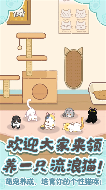 领养一只流浪猫离线版