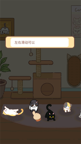 领养一只流浪猫离线版