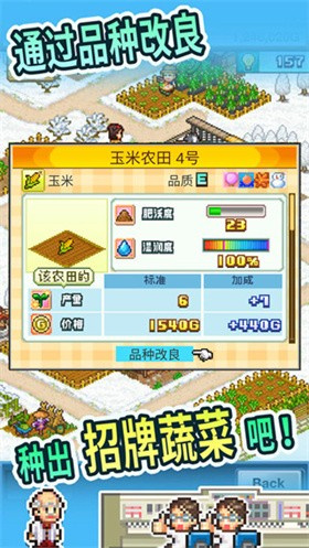 开罗大空庄园