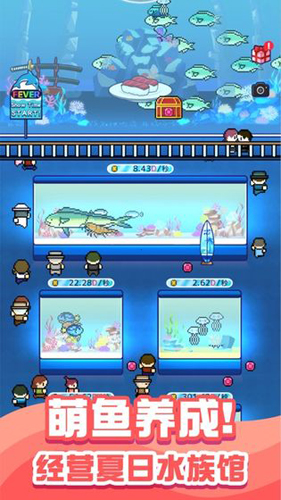 迷你水族馆