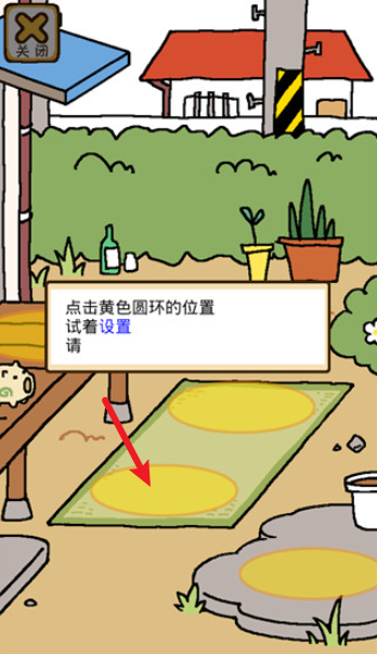 猫咪后院2国际服