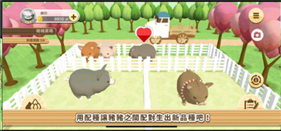 养猪场3D游戏