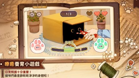 猫逝