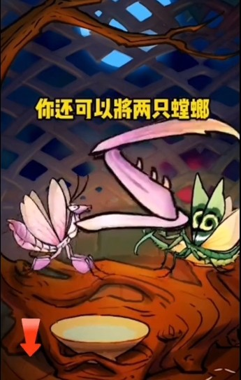 极品螳螂