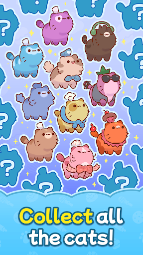 烘焙猫