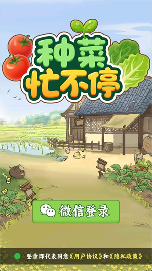 种菜忙不停