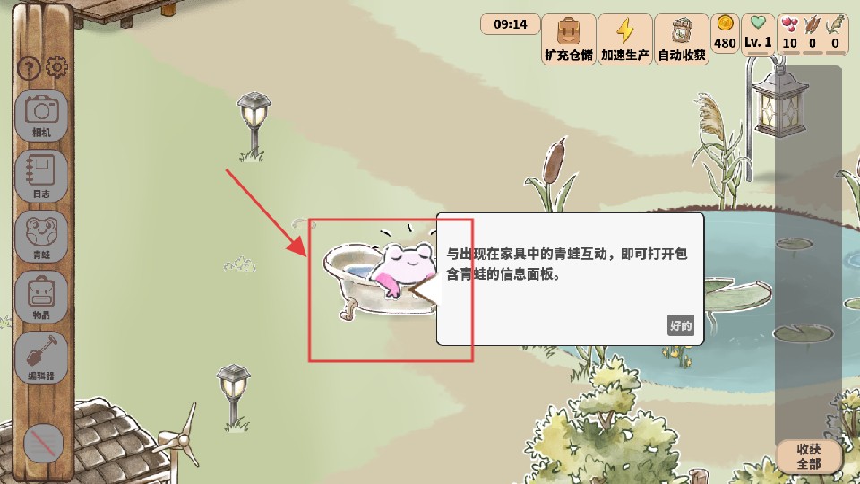 青蛙庇护所