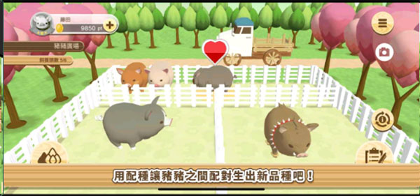 养猪场3D安卓中文版