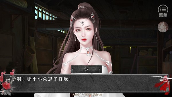 风月录2024破解版