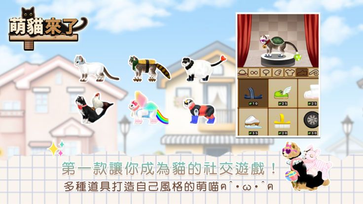 萌猫来了