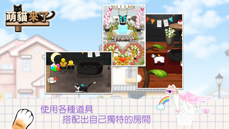 萌猫来了