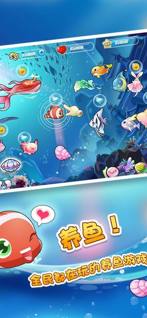 开心水族箱高级召唤进化鱼最新版