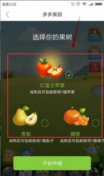 多多果园下载安装免费种树app送水果