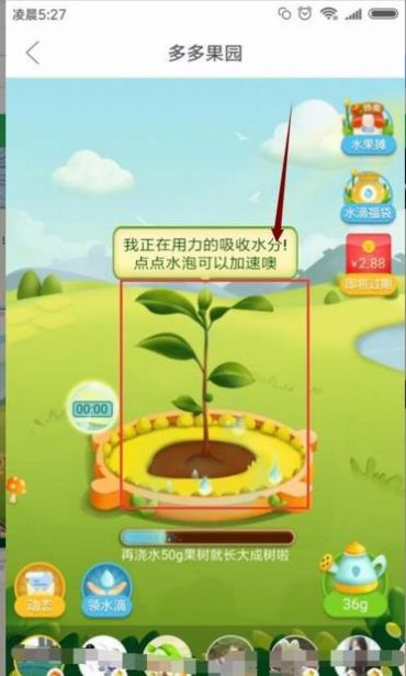 多多果园下载安装免费种树app送水果