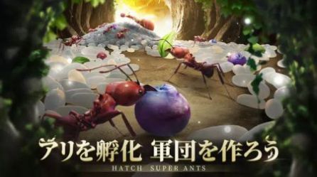 蚁族地下王国游戏版