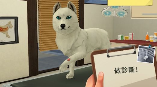 梦幻职业兽医游戏安卓版