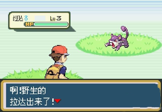 究极绿宝石5.5正式版更新下载安装版