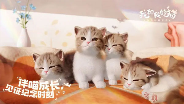 我和我的猫手游
