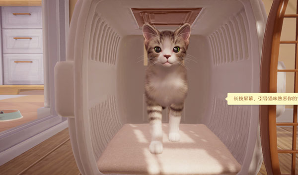 我和我的猫手游