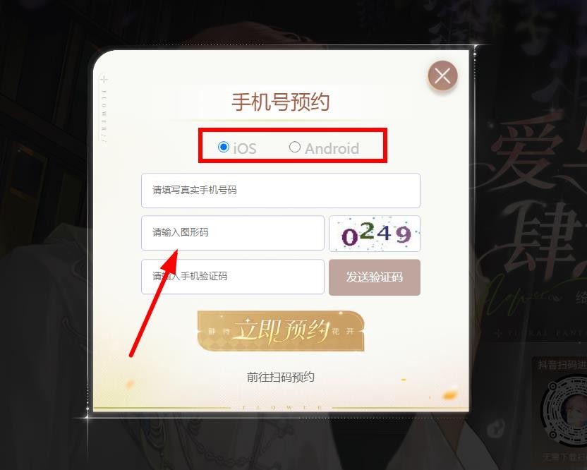 花与绯想