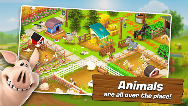HayDay