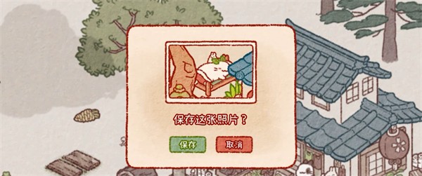 兔兔岛国际服